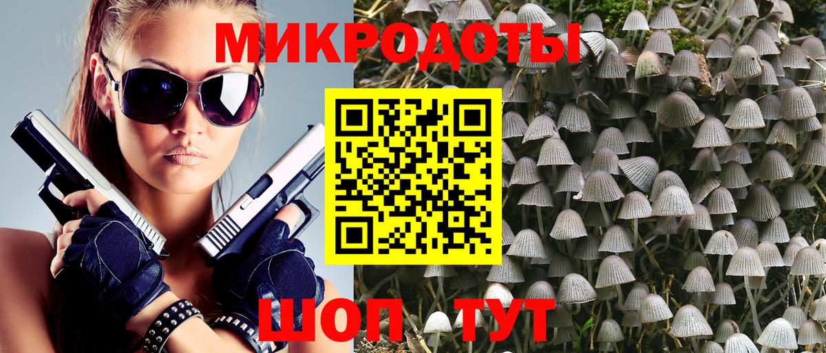 наркота  Вышний Волочёк  Псилоцибиновые грибы мухоморы 